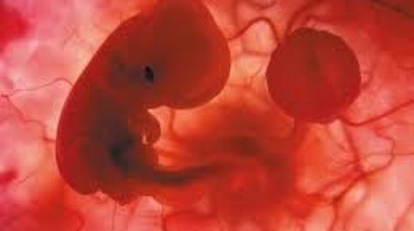 Encuesta afirma que el 51 por ciento de los juninenses está a favor del aborto legal