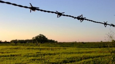 Según informe, el impacto de los impuestos es mayor para el campo bonaerense