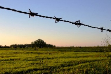 Según informe, el impacto de los impuestos es mayor para el campo bonaerense