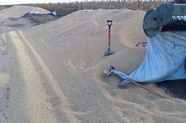 CRA celebró el proyecto que crea la figura de "vandalismo rural"