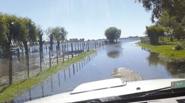 “El 40 por ciento de los tambos ha dejado de producir”