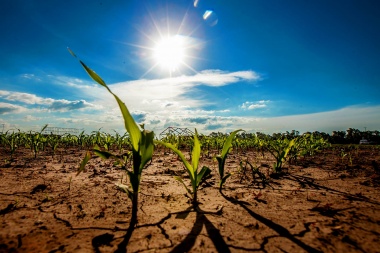 La Rural de Junín advirtió sobre problemas en las economías regionales