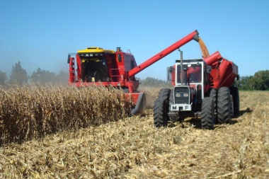 Casi el 40% del costo de producción de una hectárea en la provincia se va en impuestos