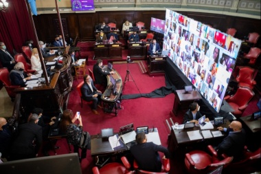 El Senado bonaerense aprobó la ley del donante de plasma y la emergencia pyme