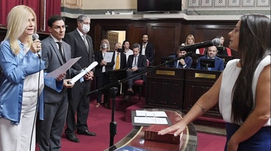 Con agradecimiento a Petrecca, Alonso juró en el Senado provincial