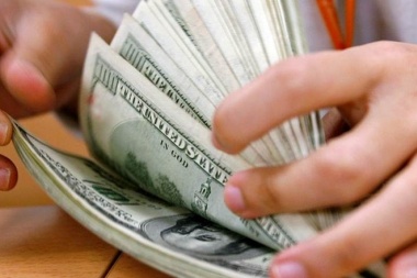 El dólar rozó los $ 31 y sólo bajó con el anuncio de ventas del Banco Central
