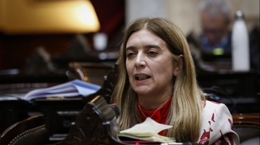 Tavela cuestionó al gobierno por una resolución del Banco Central