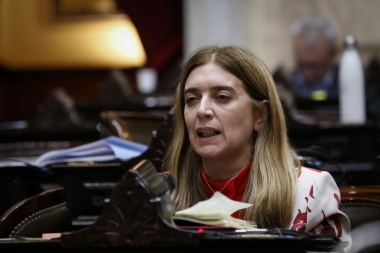 Tavela cuestionó al gobierno por una resolución del Banco Central