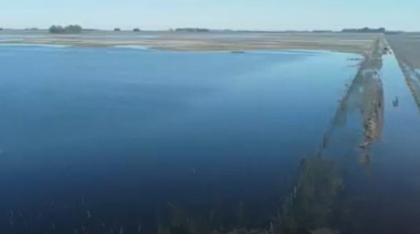 Quejas del campo nuevejuliense ante la presencia de nación por inundaciones