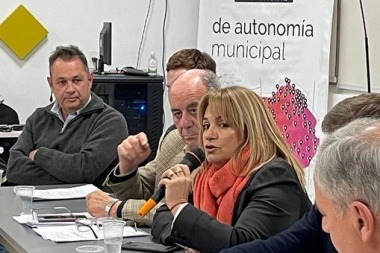 La UCR bonaerense llevó el debate por la autonomía a la segunda sección