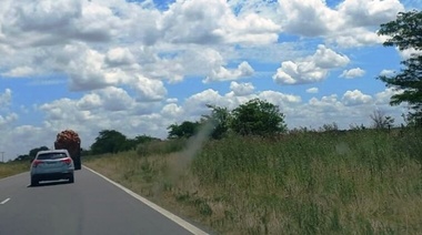 Gentile elevó reclamo ante Vialidad Nacional y Corredores Viales por ruta 5