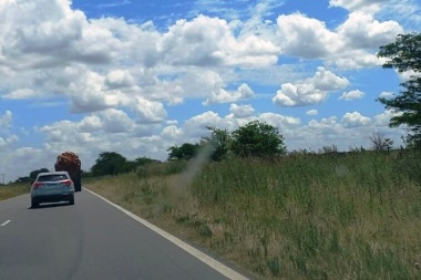Gentile elevó reclamo ante Vialidad Nacional y Corredores Viales por ruta 5