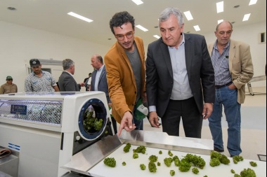 Anmat habilita la primera planta industrial de producción y procesamiento farmacéutico de cannabis medicinal del País