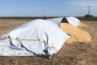T. Lauquen: rompieron un silobolsa y se llevaron nueve toneladas de soja