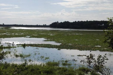 En 9 de julio afirmaron estar "rodeados por el agua" y convocaron a la mesa agropecuaria