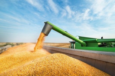 El agro marcó un récord en las exportaciones de cereales y oleaginosas