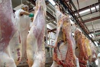 La Mesa de las Carnes volvió  a pedir levantar el cepo exportador