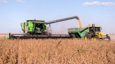 Sin dólar soja, agroexportadores liquidaron en enero un 75% menos