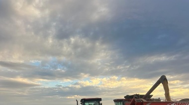 Estiman que la recaudación por retenciones al agro creció un 80% este año