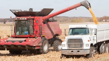 Anticipan liquidación grande de divisas del campo que ilusiona al gobierno