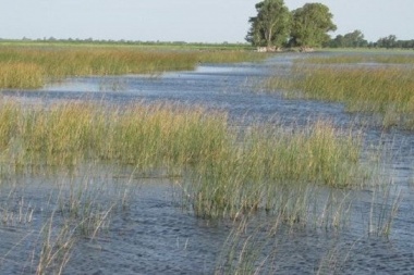 La Rural de Trenque Lauquen denunció que podrían ser "reservorio de agua" durante una inundación