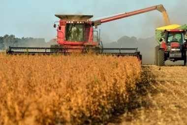 El Concejo de Rojas aprobó un rechazo a la suba del inmobiliario rural