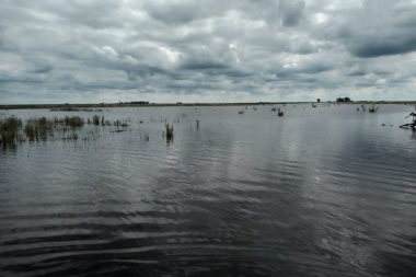 Alarma en la cuarta: General Villegas tiene el 40% de sus campos bajo el agua