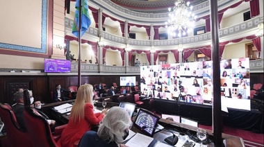 Ratifican decretos y sancionan leyes de Emergencias en geriátricos y de género