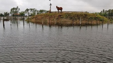 Inundaciones: senador de la sección impulsa una ley de emergencia agropecuaria para Villegas