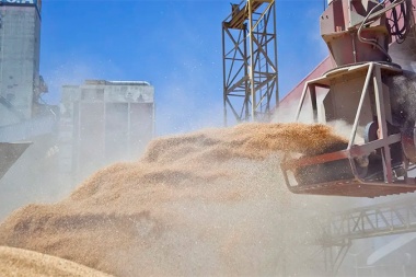 Ingreso de divisas del agro: prevén récord histórico de u$s28.800 millones
