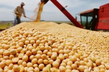 La soja subió 15,6 por ciento producto de la sequía en Argentina