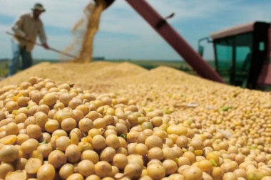 Continúa con buenos rindes la cosecha de soja en la región núcleo