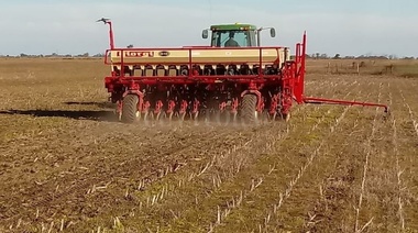 Afirman que la siembra de trigo ya cubre el 87% de la superficie proyectada