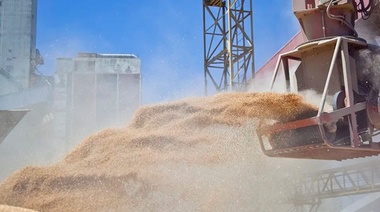 Ingreso de divisas del agro: prevén récord histórico de u$s28.800 millones