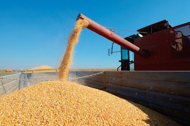 Campo: se aligeró la venta de granos por temor a una suba de retenciones