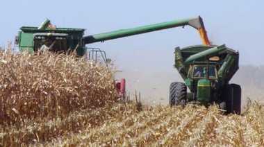 Según Carbap, "el campo en su mayoría votó a Cambiemos"