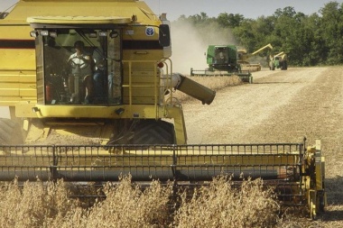 "En 20 años de pagar retenciones desaparecieron 100.000 productores"