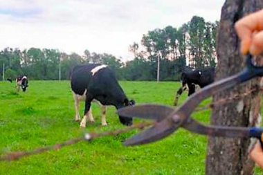 Productores rurales reclamaron "voluntad política" para luchar contra el delito en los campos