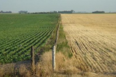 Federación Agraria Junín consideró "un castigo al campo" el revalúo