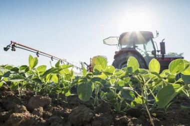 Largan créditos blandos para pequeños productores agropecuarios