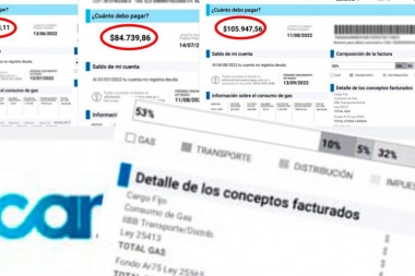 T. Lauquen: preocupa el aumento de las facturas de gas en el sector productivo