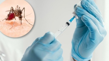 Piden a Salud de nación y provincia que incluya a Junín en la vacunación contra el dengue