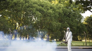 Provincia comenzó a enviar turnos de vacunación contra el dengue
