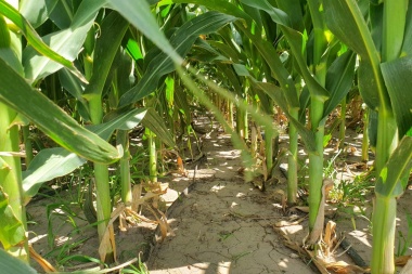 "El campo no quiere dádivas, el campo quiere producir"