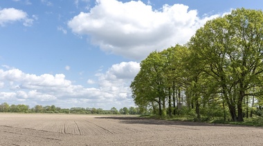 Prorrogan la emergencia y desastre agropecuario por sequía en Ameghino