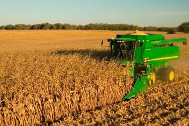 Afirman que la siembra de trigo crecería 15% en zona núcleo