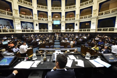 Aprueban Ley para prohibir las reelecciones indefinidas en los Colegios Profesionales