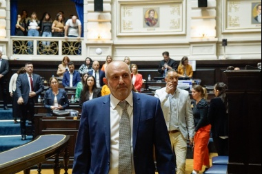 Guerrera valoró que el presupuesto PBA vaya "a contramano" de Milei