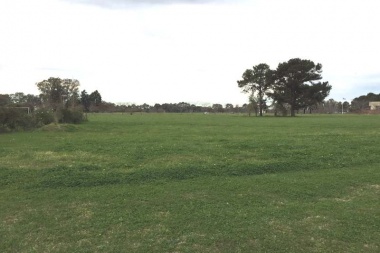 Déficit Habitacional: en 9 de Julio proponen la creación de un banco de tierras municipal