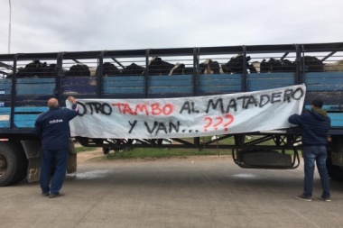 Fuerte y llamativa protesta de tamberos para pedirle al Gobierno soluciones